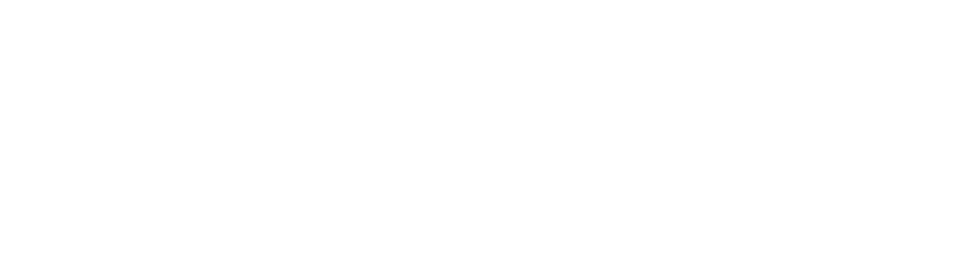brommer-consulting.de